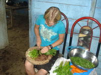 Rachel Teter cuts vegetables in preparation for her neighbor's quinceañera party, El Plátano, Panama