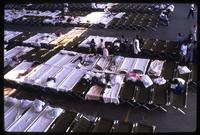 Aerial view of cots and bedding set up in the refugee camp on the Guantanamo Bay Naval Base