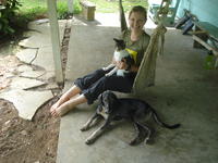 Alternate view of Rachel Teter with a cat in a hammock next to a dog,  El Plátano, Panama